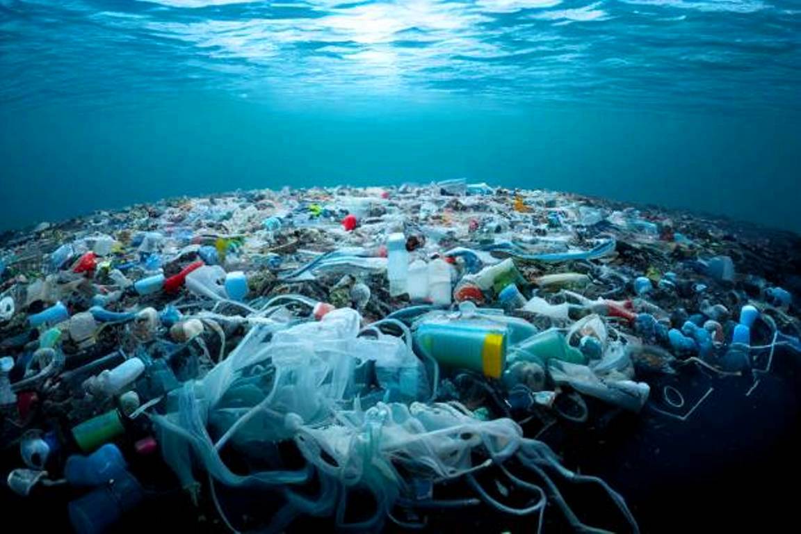Plastic Tide: The Hidden Impact of Marine Debris on India’s Coastal Ecosystems